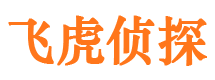 陆川情人调查